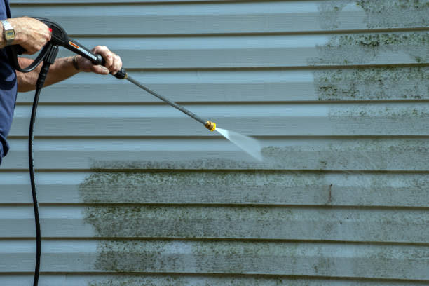 Best Roof Power Washing Services  in Chisholm, ME
